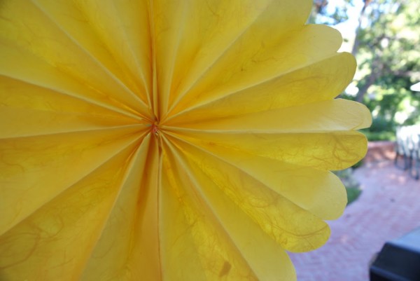 wedding decoration paper rosettes