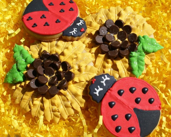 lady bug cookies sunflower cookies