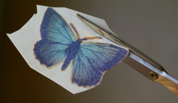 butterfly decorated cookies