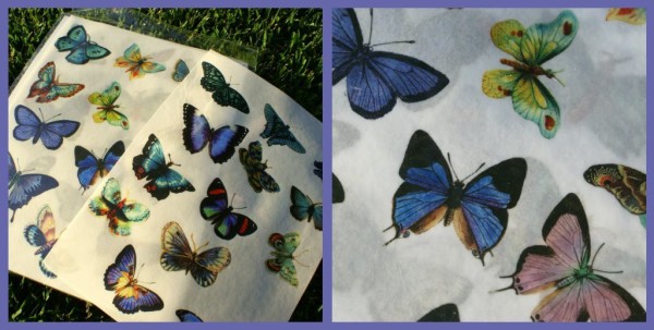 butterfly decorated cookies