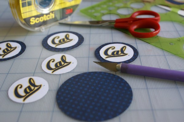 cal cupcakes