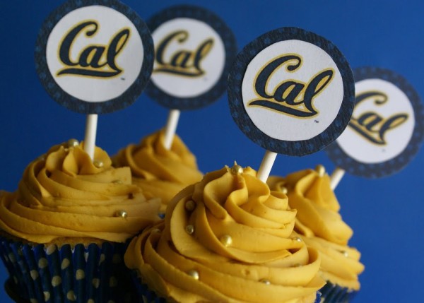 cal cupcakes