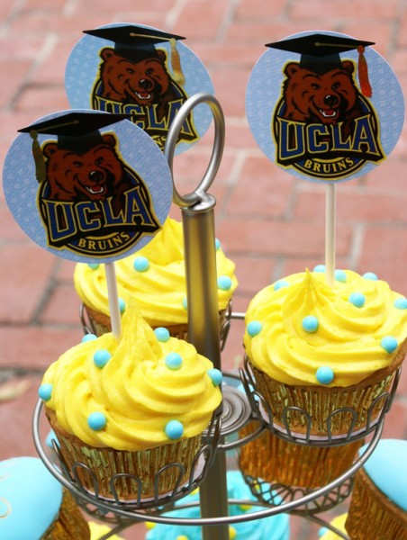 ucla cupcakes                              