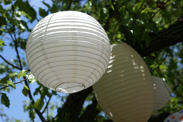 paper lanterns in the trees