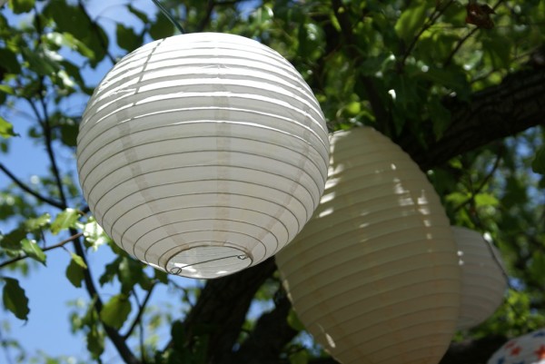 paper lanterns in the trees