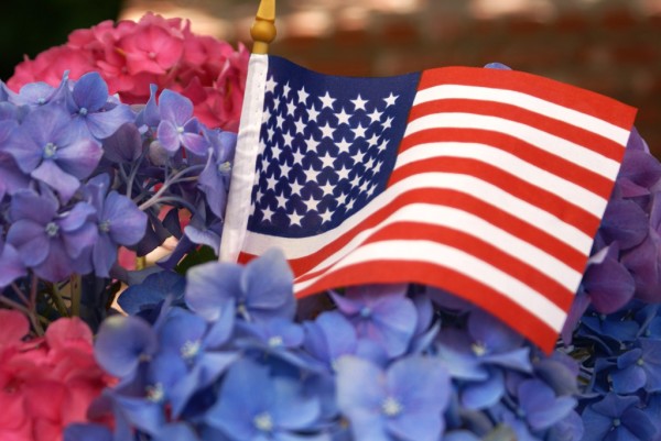 american flag with hydrangeas               