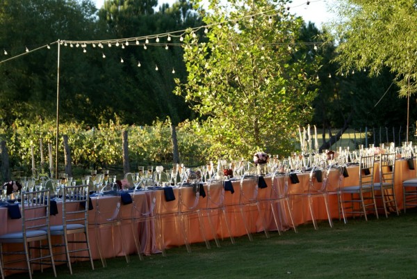 sedona vineyard wedding