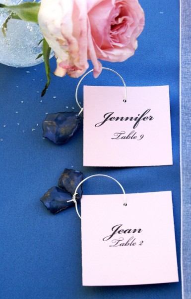 vineyard wedding cookie favors                        