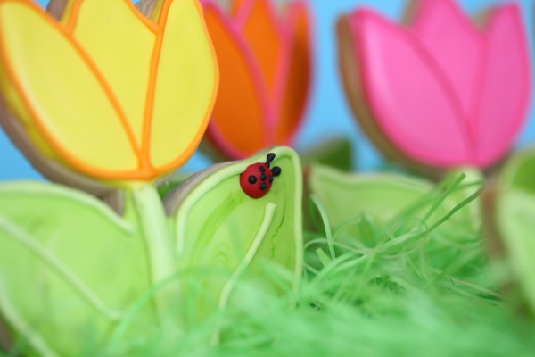 spring flower cookies