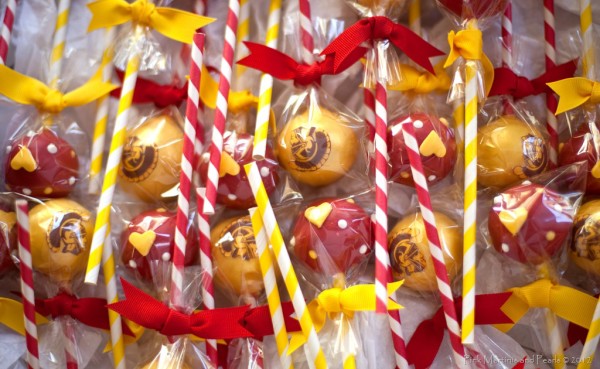 USC Cake Pops 1095 copy