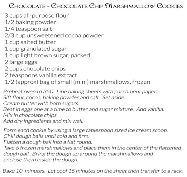 Chocolate Chocolate CHip Marshmallow Cookies Recipe