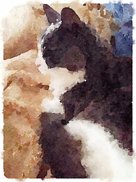 Painted in Waterlogue