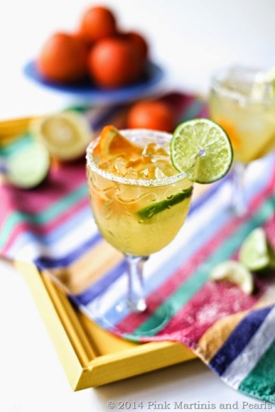 Fresh Fruit Margarita-6694