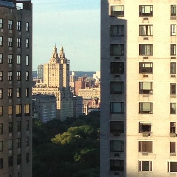 central park view