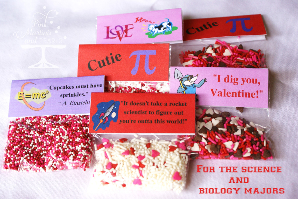 Collegiate Valentine Care Package DIY Cupcakes Sprinkle Packs