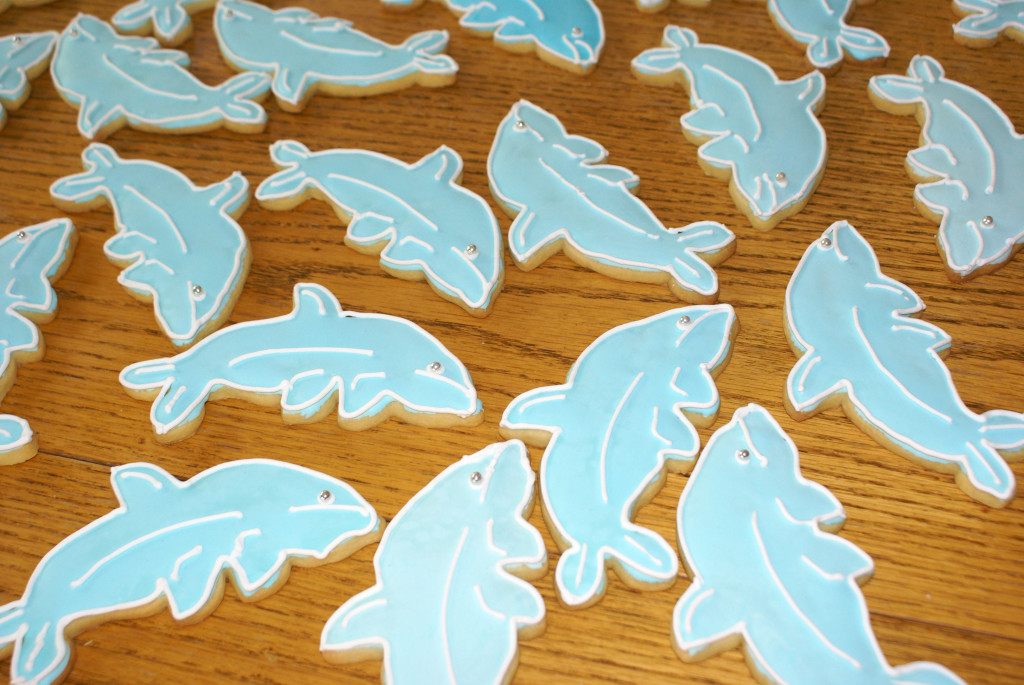 dolphin cookies shell cookies dana hills high school