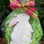 decorated bunny cookie