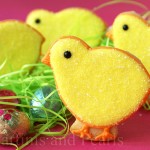 Decorated Chick Cookies!