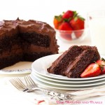 “The Best Ever – Blue Ribbon Winning – Chocolate Layer Cake – In All The Land”!