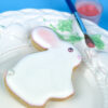 Decorated Baby Bunny Cookies