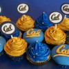 Collegiate Cupcakes - CAL
