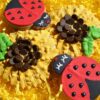 Ladybugs and Sunflower Cookies